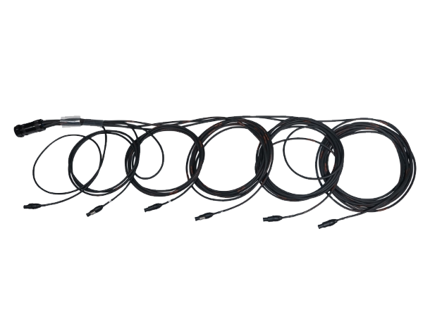 FS Socapex 19-Pin Male- True1 2.5mm Staggered FanOut 1, 2, 3, 4, 5, 6m 