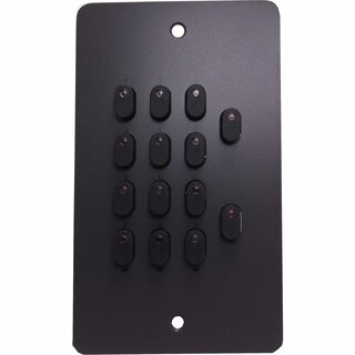 Artistic Licence Wall Panel