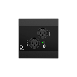 Audac NWP220 Dante™/AES67, 2 x XLR + BT (4 CH)