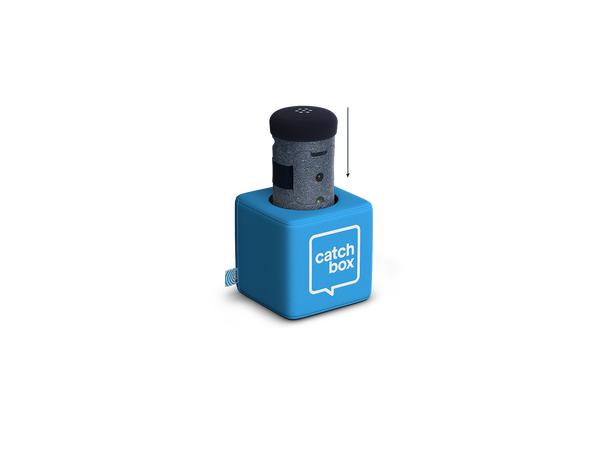 CatchBox Beltpack module custom OBS! UTEN SENDER OG MOTTAGER 
