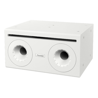 Pioneer Professional Audio subwoofer 10" passiv