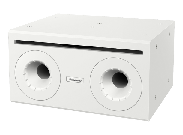 Pioneer Professional Audio subwoofer 10" passiv