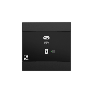Audac NWP400 Dante™/AES67, USB-C + BT