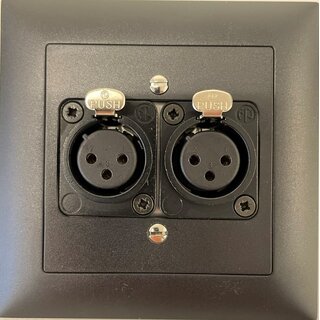 FS Veggpanel 2xXLR Hun til Dante Input