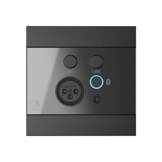 Audac WP225/B sort Universalpanel Bluetooth, linje og mic, volumkontroll