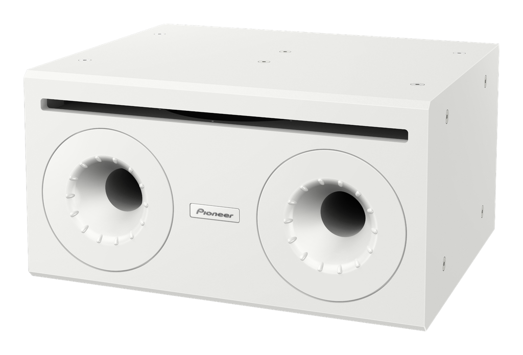 Pioneer Professional Audio subwoofer