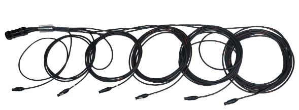 FS Socapex 19-Pin Male- True1