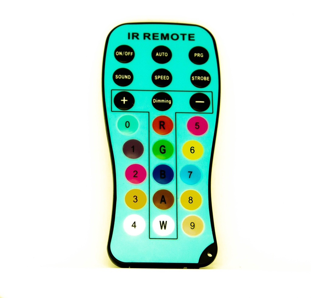 Snow Remote