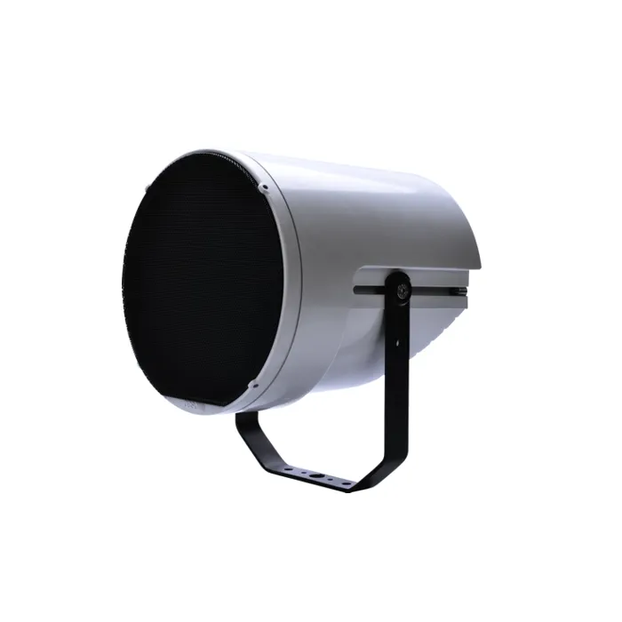 Paso 40W sound projector, light gre