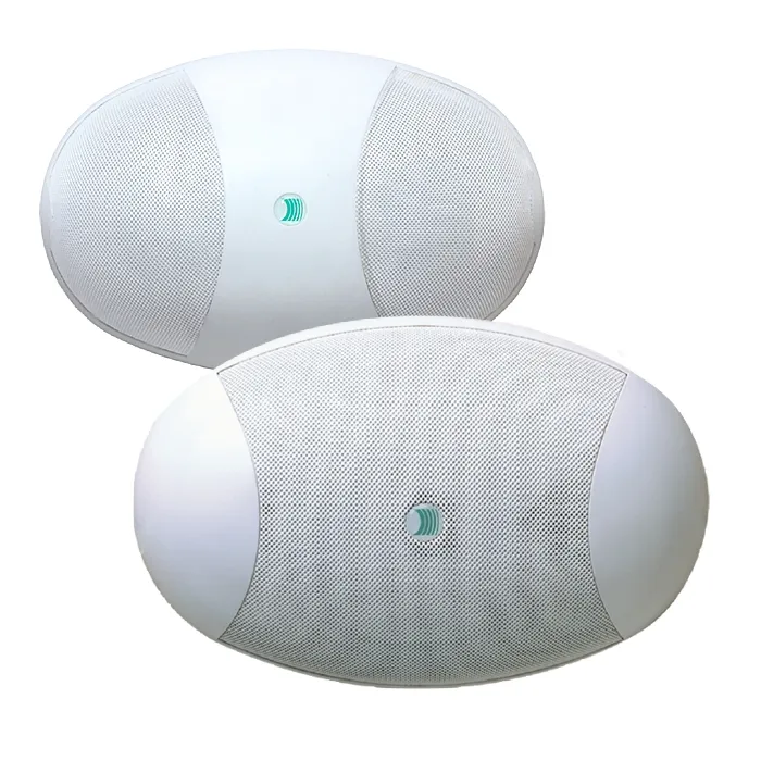 Paso C36/6-EN ceiling/wall mounted oval speaker